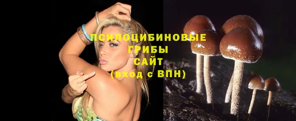 метамфетамин Верея