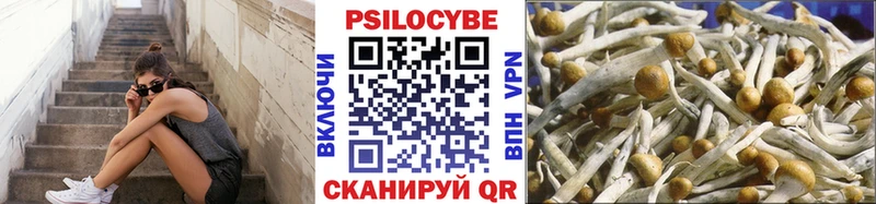 Галлюциногенные грибы ЛСД  Купить где  Жирновск 